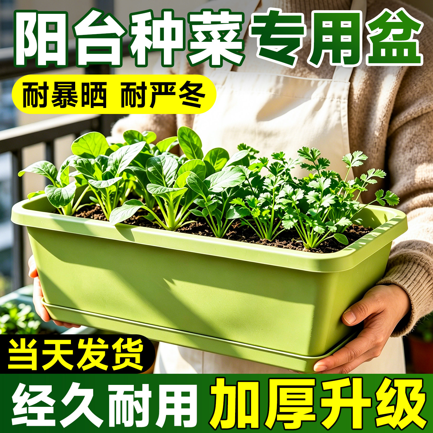 阳台种菜专用盆长方形花盆家用塑料树脂长条绿植种植箱加大厚耐用