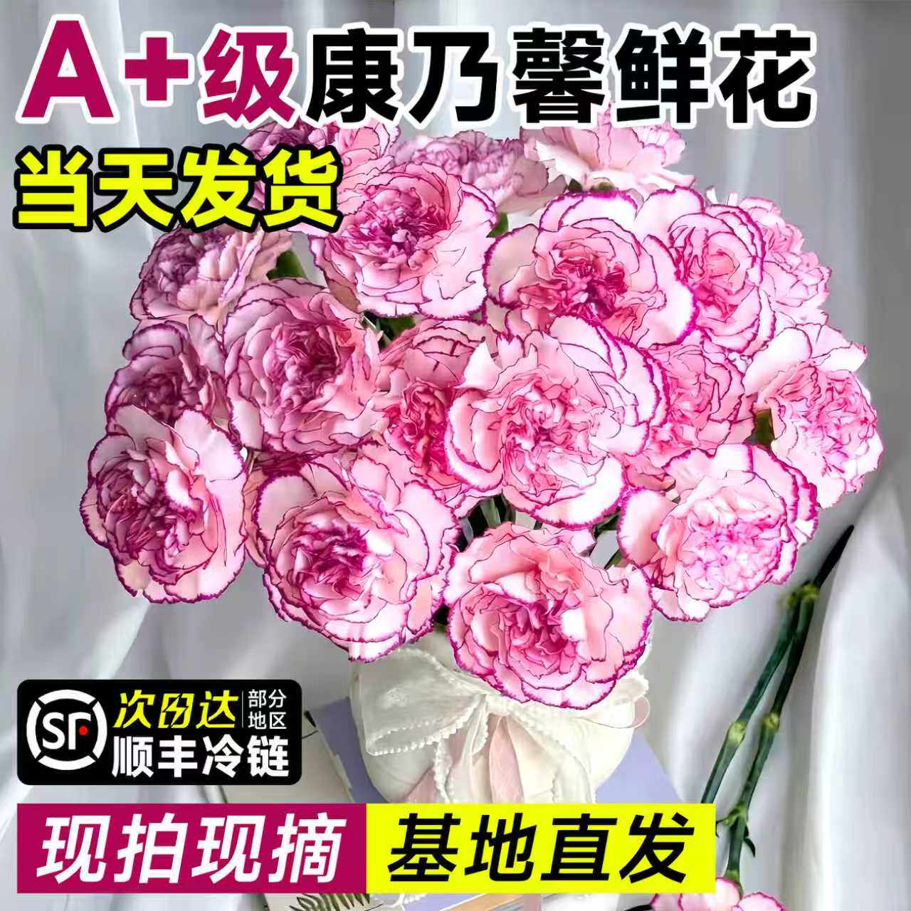 康乃馨鲜花云南基地直发母亲节礼物花束插花鲜切花顺丰次日达批发