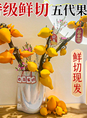 黄金五代果鲜切枝支五代同堂果观赏插花束鲜花卉水培办公室内桌面