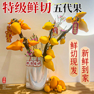 黄金五代果鲜切枝支五代同堂果观赏插花束鲜花卉水培办公室内桌面