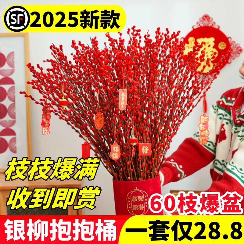 【2025招财年宵花】银柳抱抱福桶