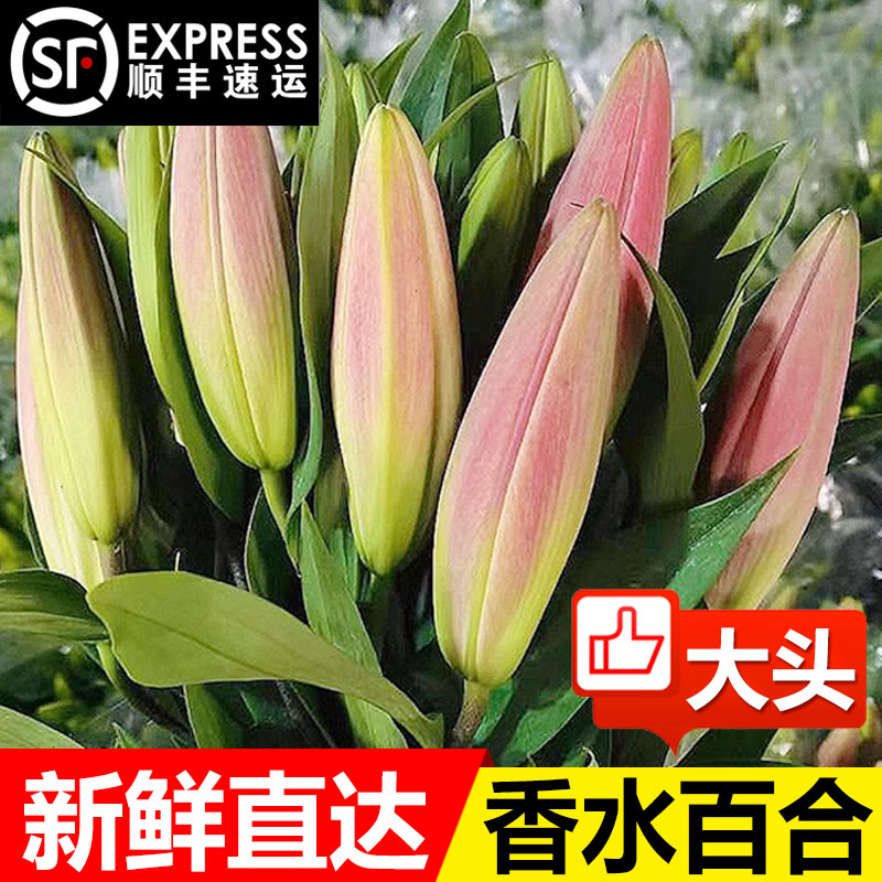 鲜花花束云南昆明基地直发香水百合花速递同城玫瑰520情人节礼物