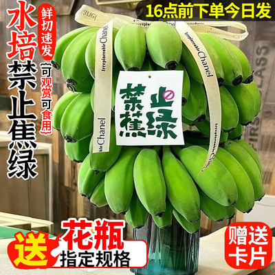 【上班搭子】10W+购买禁止蕉绿