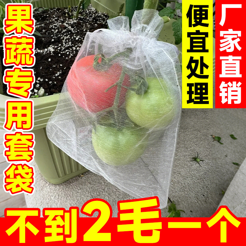 西红柿套袋防虫防鸟罩圣女果番茄专用保护套透气水果网袋防果蝇袋