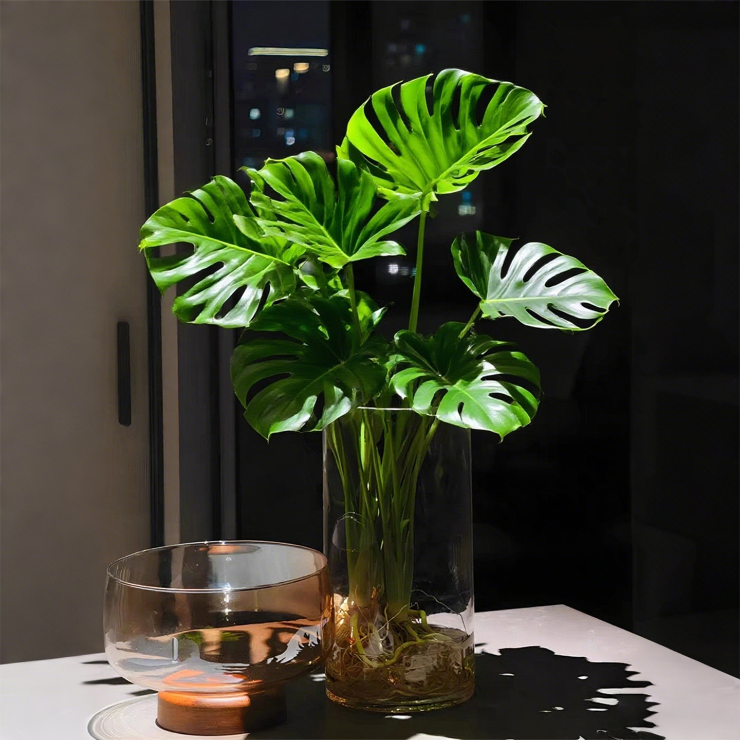 老桩龟背竹水培植物室内好养活客厅大盆栽大叶桌面办公室绿植花卉