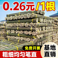 菜園竹竿搭架防腐耐用批發(fā)黃瓜蔬菜桿柵欄毛竹竿爬藤架戶外庭院