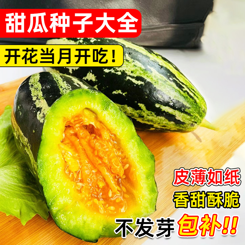 冰糖子甜瓜种籽大全羊角蜜