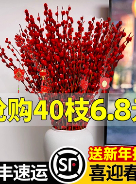 银柳真花鲜枝客厅红色干枝鲜花带花苞摆件年宵花卉室内水培绿植物