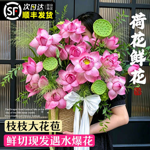 荷花鲜花云南基地直发花束同城送