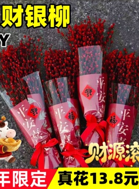 红色银柳真花鲜枝客厅招财摆件新款年宵花束马年手工diy材料包