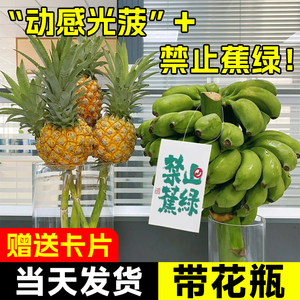 禁止蕉绿香蕉banana网红菠萝水培植物桌面绿植办公室水果凤梨芭蕉