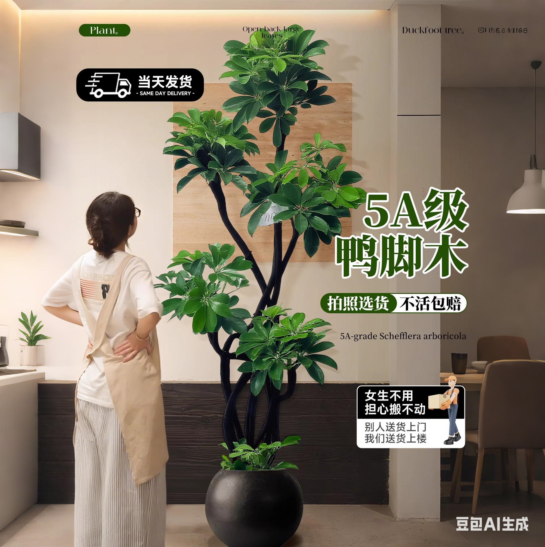 造型鸭脚木客厅大盆栽鸭掌木鹅掌柴室内落地式大型绿植物四季常青,鲜花速递/花卉仿真/绿植园艺,大型绿植/成品组合盆栽,淘宝优惠券,粉丝福利购,淘宝优惠卷