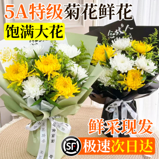 菊花祭鲜花黄白菊清明节花束墓前花云南鲜花基地直发鲜切顺丰冷链