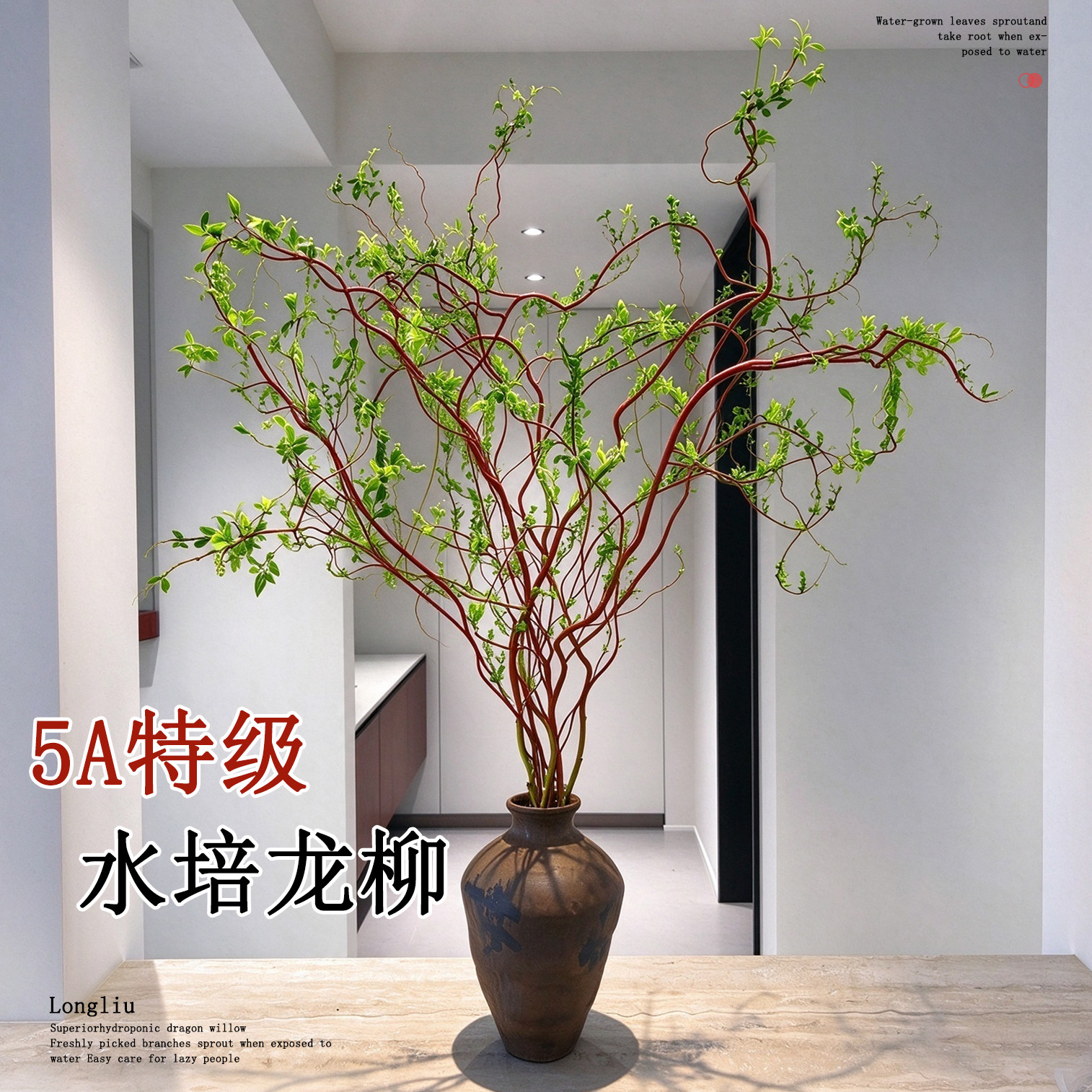 龙柳鲜枝水培植物办公室内干枝国风花卉绿植室内桌面盆栽四季好养