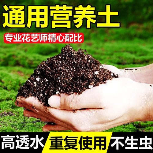 【10L9.9元】通用营养土养花专用