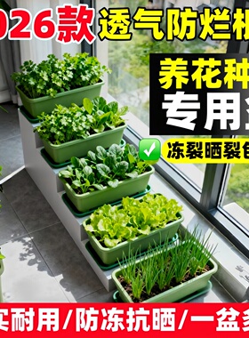 长方形室外种菜盆阳台专用箱大懒人家用蔬菜草莓塑料树脂花盆神器