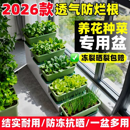 长方形种菜盆阳台专用塑料花盆