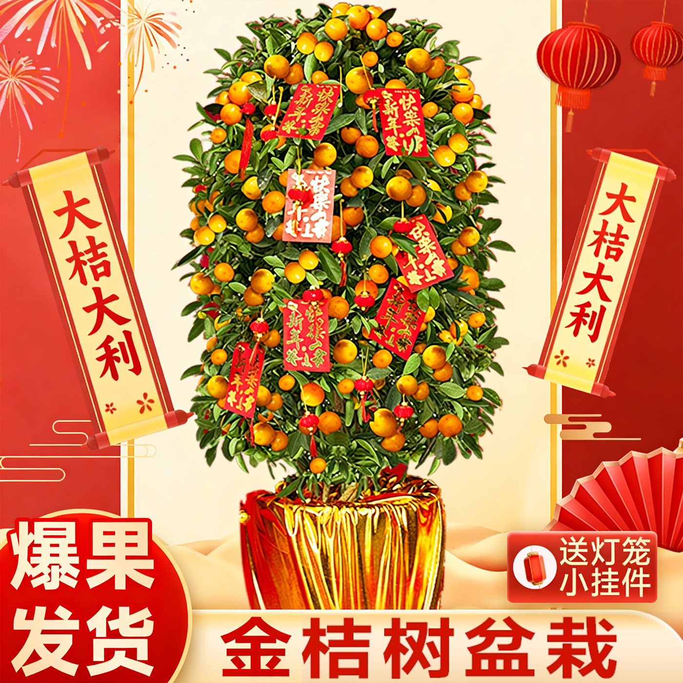 金桔树盆栽可食用客厅年桔橘子带果树苗室内新年宵绿植物四季好养