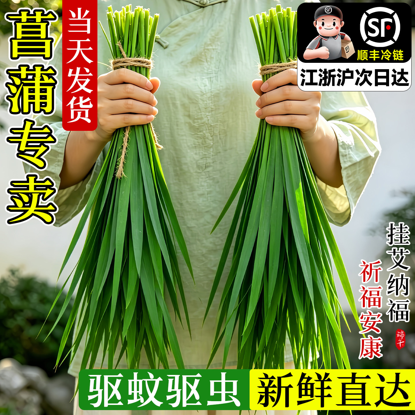 端午节艾草菖蒲新鲜艾叶花束草手工diy材料香包鲜花挂饰驱蚊门挂