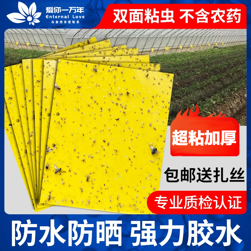 黄板双面粘虫板加厚超粘