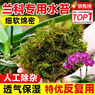干苔藓水苔青苔兰花蝴蝶兰石斛种植专用营养土植料乌龟冬眠水台