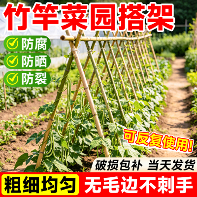 【当天发货】豆角竹竿架菜园搭架