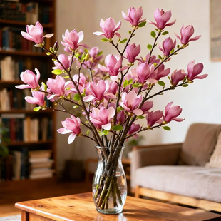带花苞玉兰花水培鲜切花玉兰鲜花真花过年花束盆栽客厅摆件年宵花
