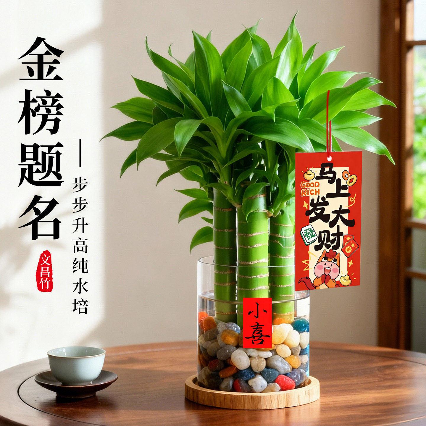 文昌竹4支金榜题名水培植物室内书桌办公室桌面富贵竹盆栽好养活