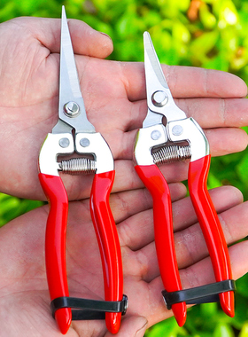 不锈钢摘果剪刀稀果修果剪葡萄专用剪刀翘头蔬果采果剪子橘子枝剪