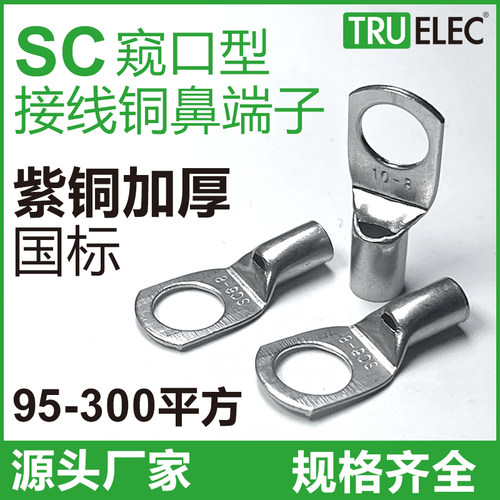 国标冷压端子窥口铜鼻