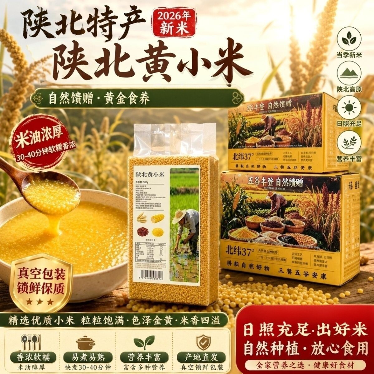 陕北黄小米新米香甜软糯
