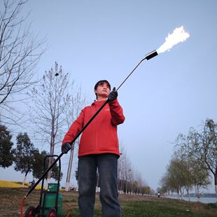 单喷头 全新高温灭草机 火焰除草机 除草杀虫卵 无任何化学残留