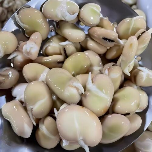 浙江台州黄岩美食节日蚕豆芽做羹烧肉泡水生鲜独立包装1斤顺丰