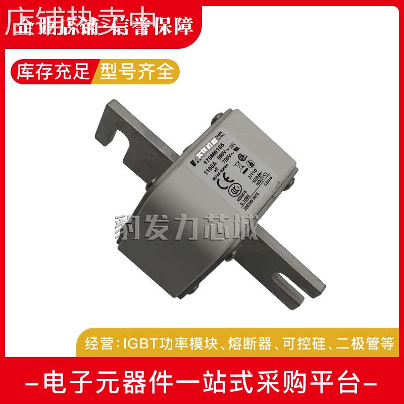 170M6167 170M6168 170M6169 170M6170 170M6171全新熔断器现货