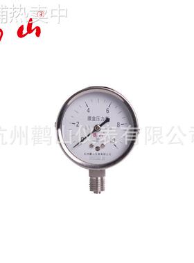 全不锈钢膜盒压力表 YE60BF不锈钢微压表 白色边 膜盒表 厂家直销