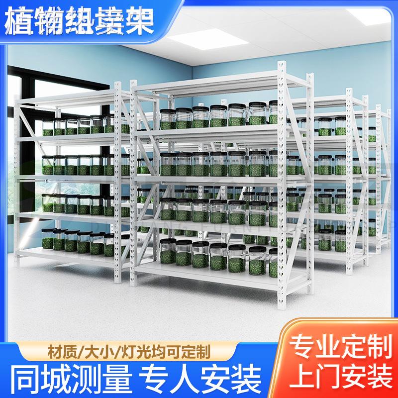 组培架多功能植物蔬菜LED白光培养架育苗架组装可移动带灯培育架