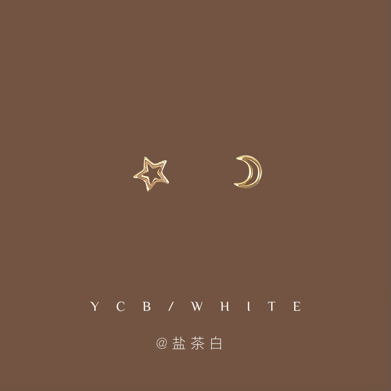 「月亮与六便士」小众耳环！
