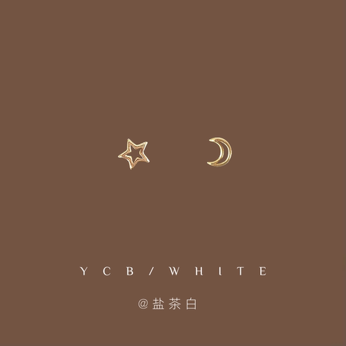 「月亮与六便士」小众耳环！