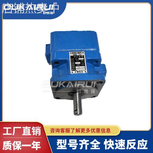 震远液压叶片油泵YB1-6 YB1-10 16 20 6.3 25 32 40 50 63 80 100