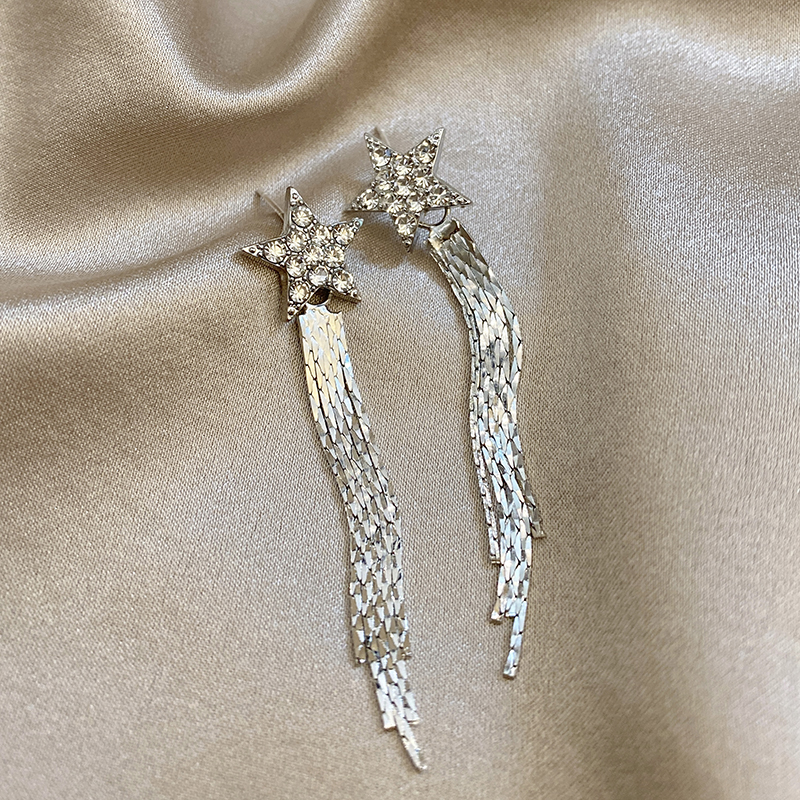 那片海精致星星流苏耳饰女