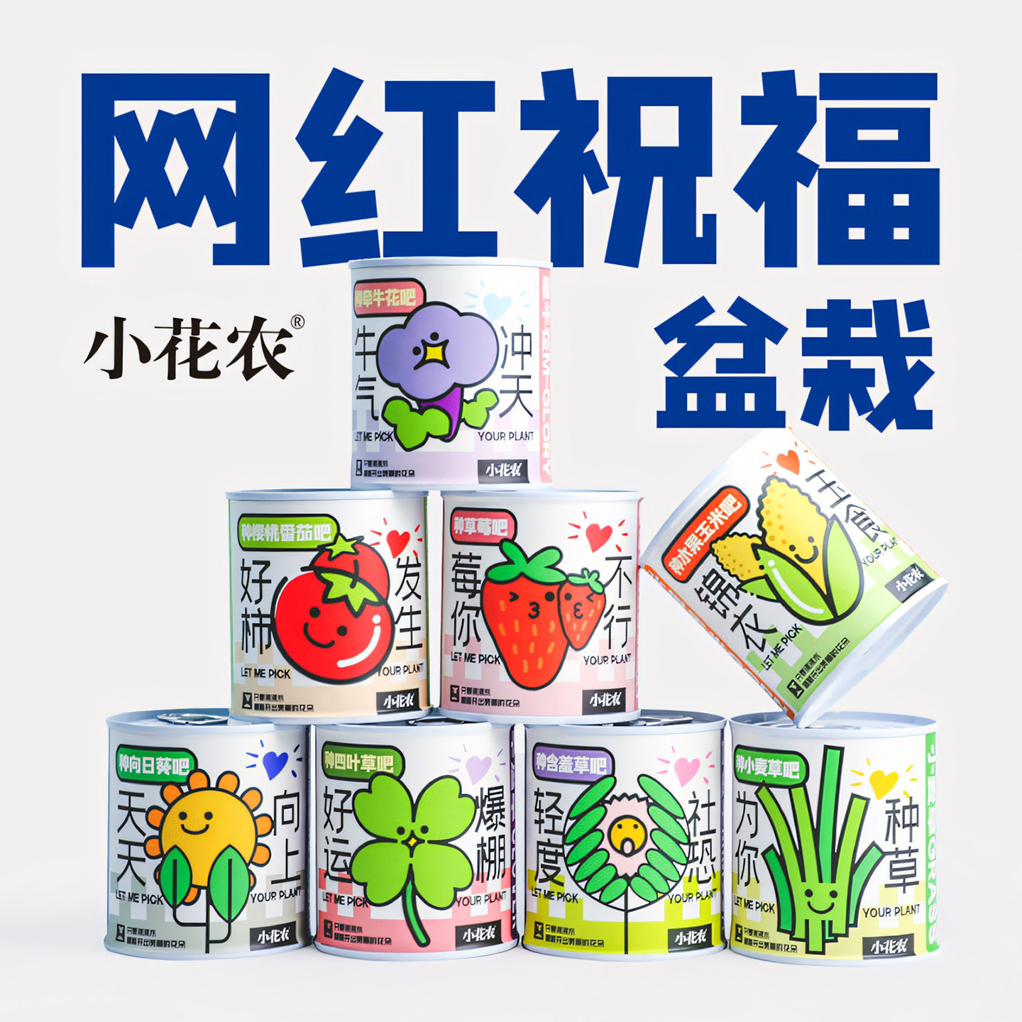 神奇植物室内四季趣味种植图片