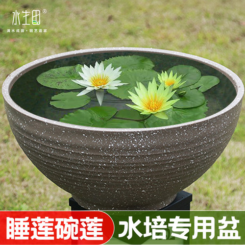 塑料简约睡莲水培专用
