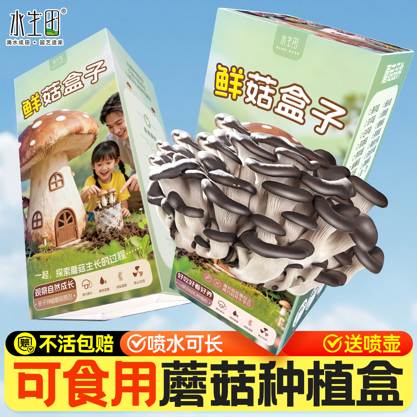 蘑菇种植包盒子菌包家庭种植平菇菌种儿童可食用大包批发新鲜盆栽