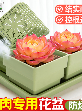 多肉专用控根花盆树脂加厚透气塑料植物大口径种植组合带底座托盘
