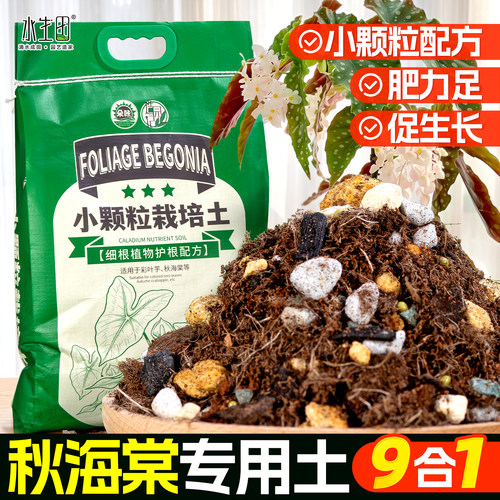 秋海棠营养土养花通用专用土壤