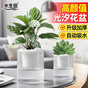 自吸水懒人花盆大号轻奢高级感树脂透明免浇水透气兰花绿萝专用