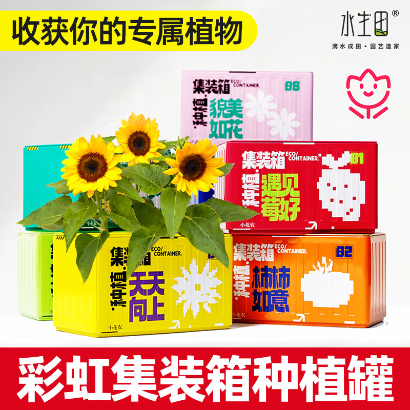 彩虹集装箱儿童种植小盆栽迷你小盆景网红种植罐头幼儿园罐头学生