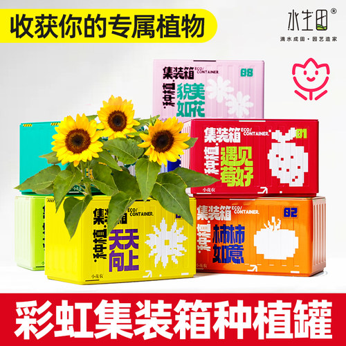 彩虹集装箱儿童种植小盆栽