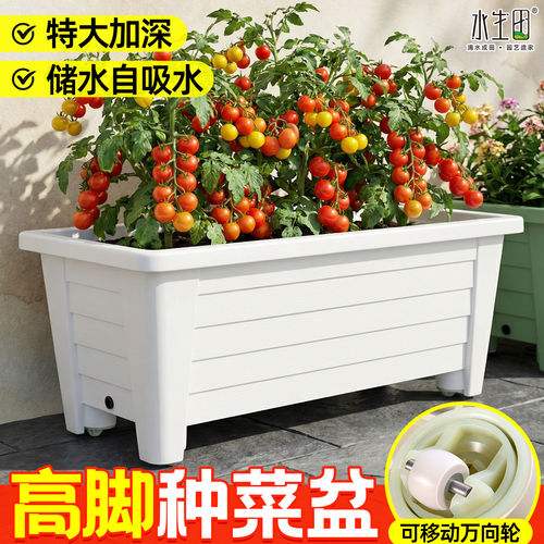阳台种菜盆长条方形高脚花盆