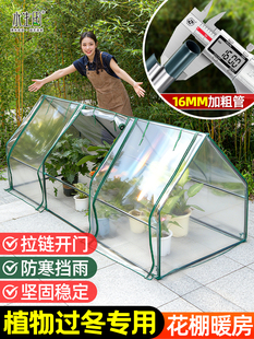 家用温室保温棚阳光房暖棚花棚暖房防风户外大棚过冬蔬菜植物室外